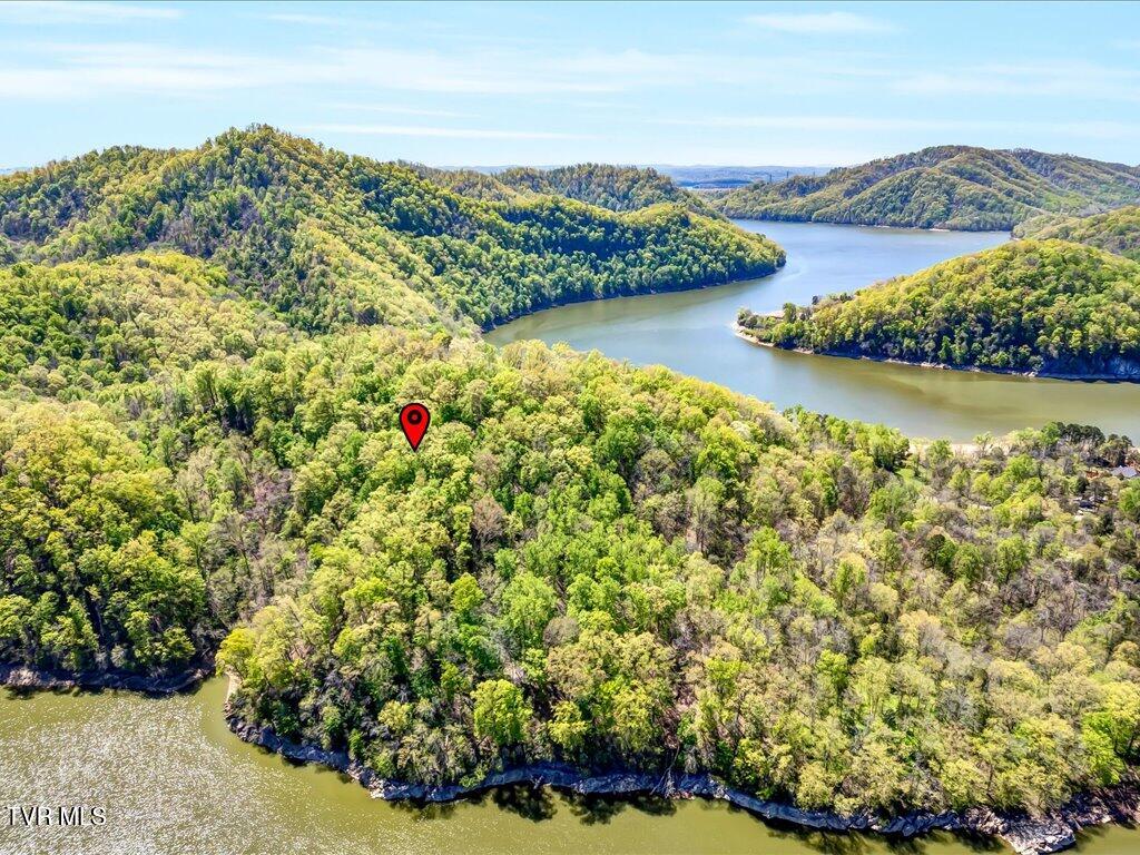 Lot 49 Hickory Knoll Circle, Whitesburg, Tennessee image 5