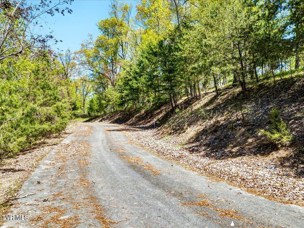 Lot 49 Hickory Knoll Circle, Whitesburg, Tennessee image 1