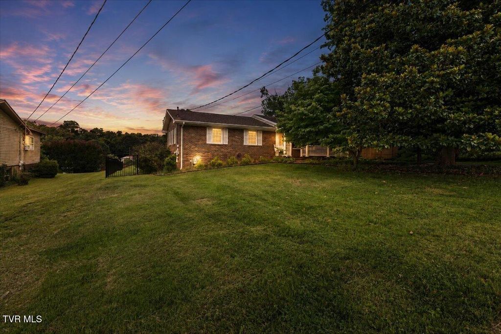 Photo of 233 Piercy Street, Blountville, TN 37617 (MLS # 9998094)