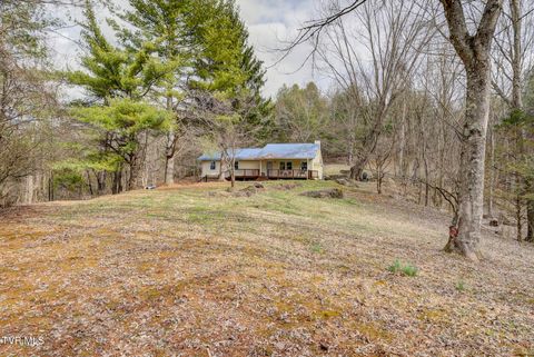 Photo of 135 Earl Williams Road, Elizabethton, TN 37643 (MLS # 9991947)