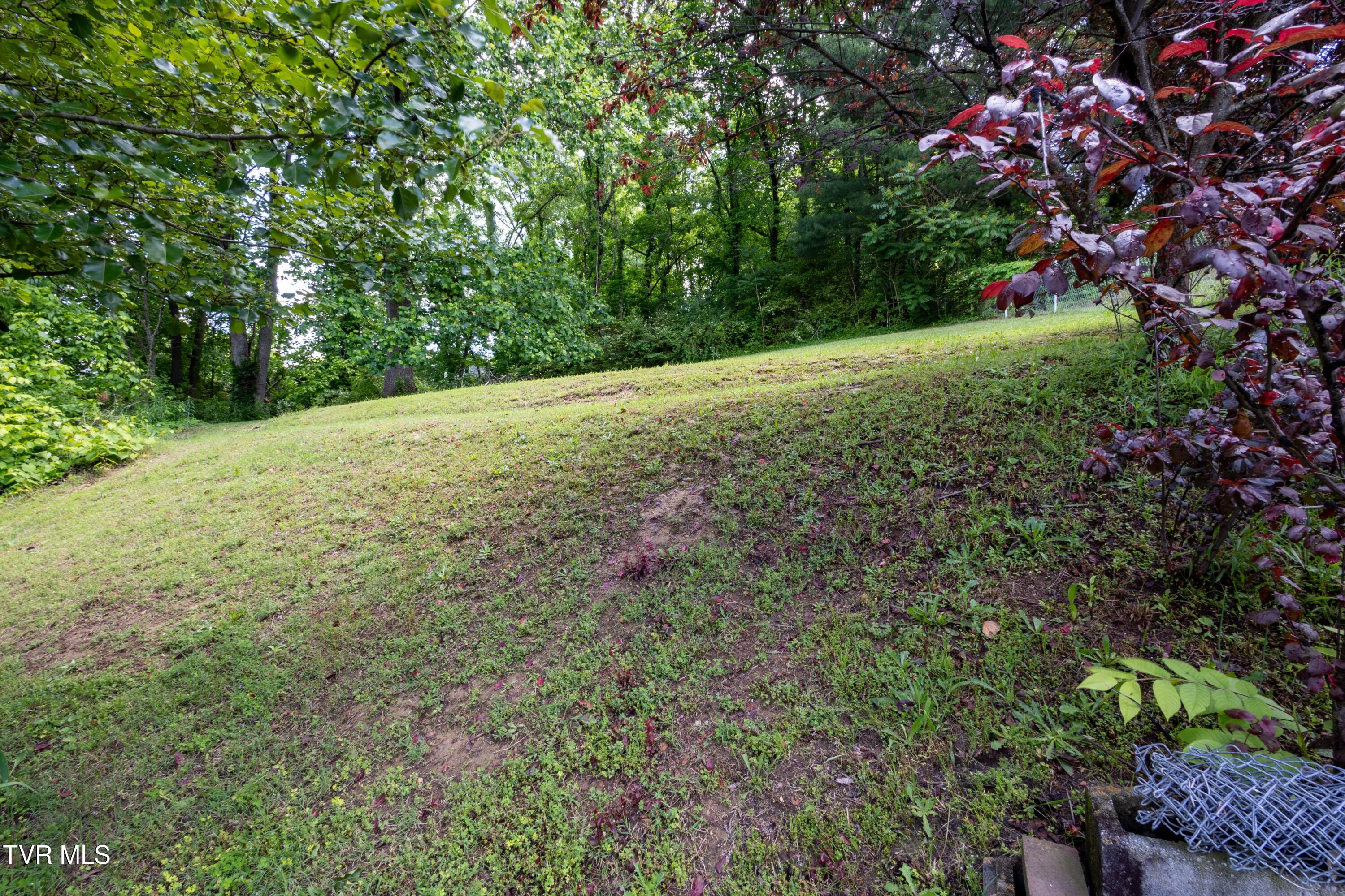 1509 Lynn Garden Drive, Kingsport, Tennessee image 6