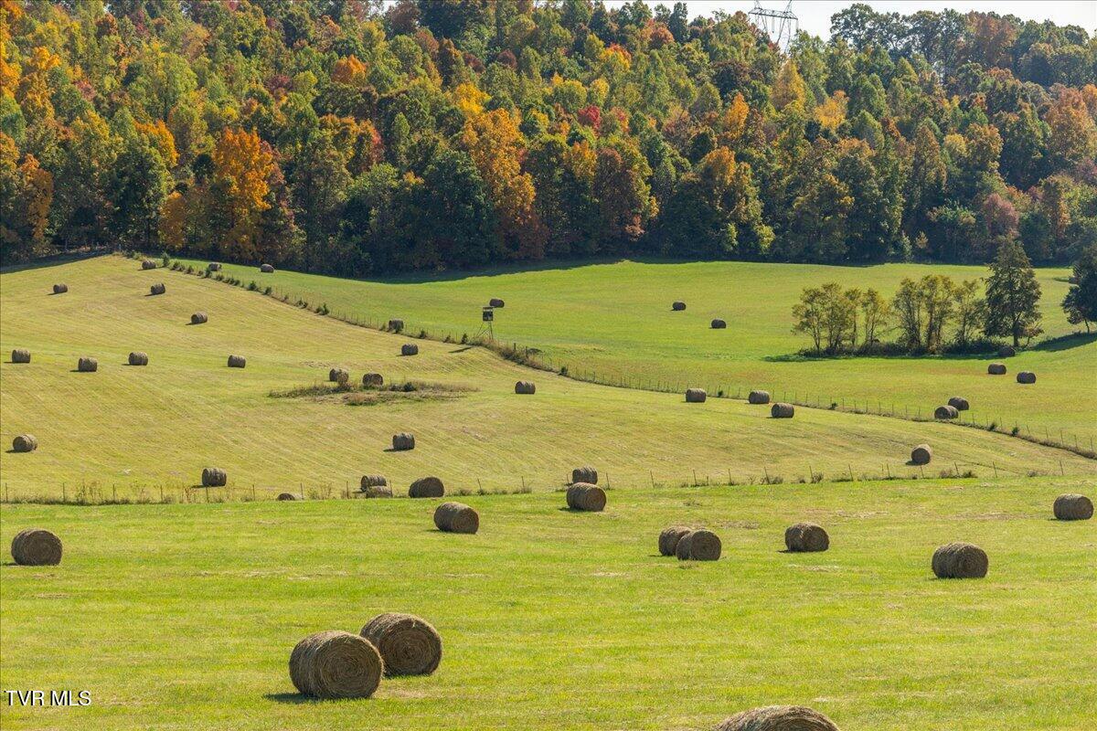 Tbd Harmony Road, Jonesborough, Tennessee image 43
