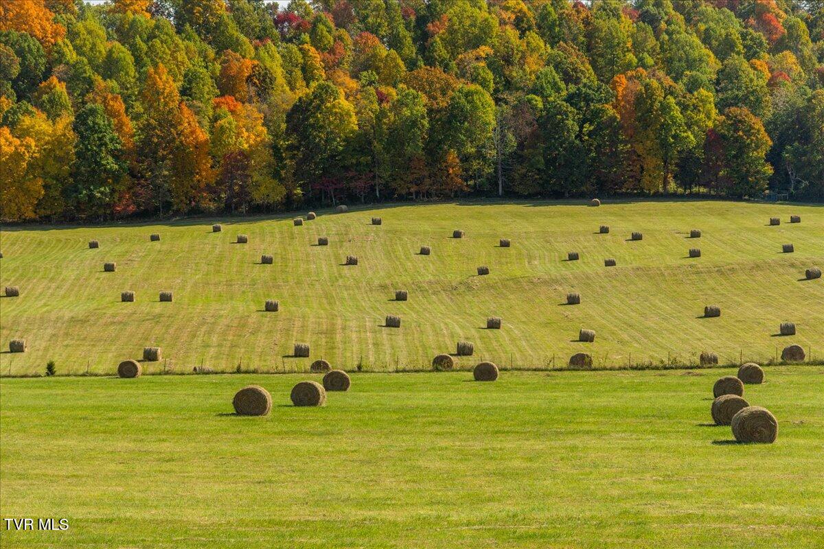 Tbd Harmony Road, Jonesborough, Tennessee image 36