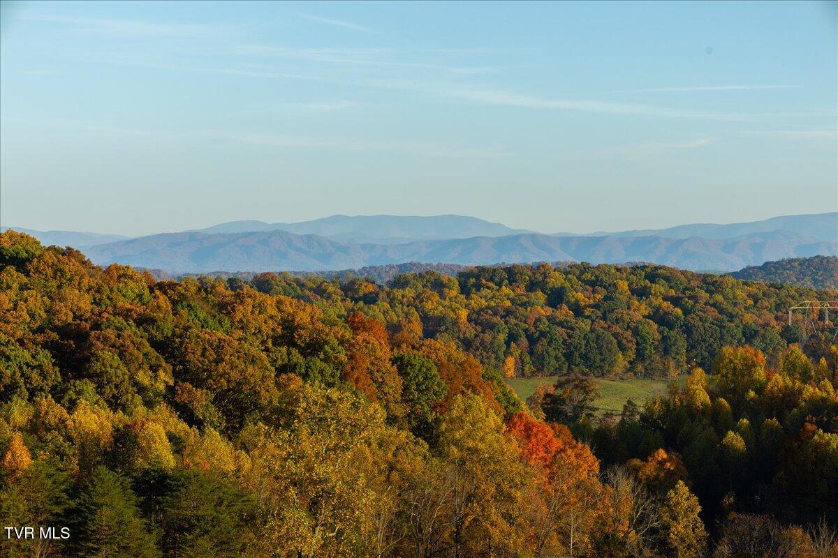 Tbd Harmony Road, Jonesborough, Tennessee image 11