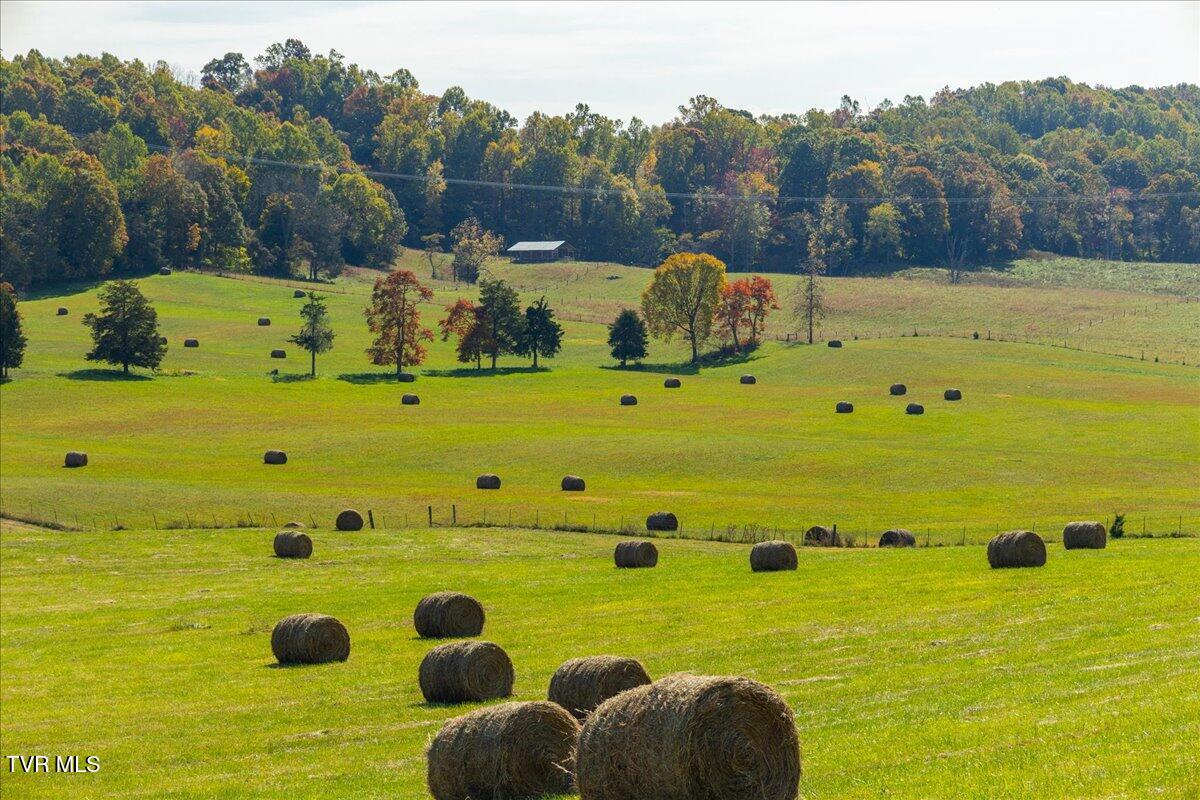 Tbd Harmony Road, Jonesborough, Tennessee image 44