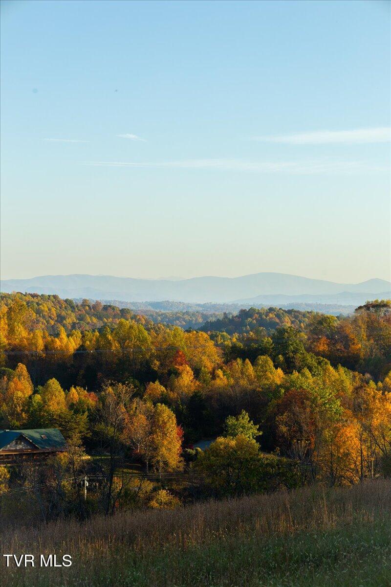 Tbd Harmony Road, Jonesborough, Tennessee image 48