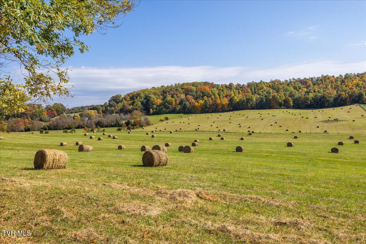 Tbd Harmony Road, Jonesborough, Tennessee image 33