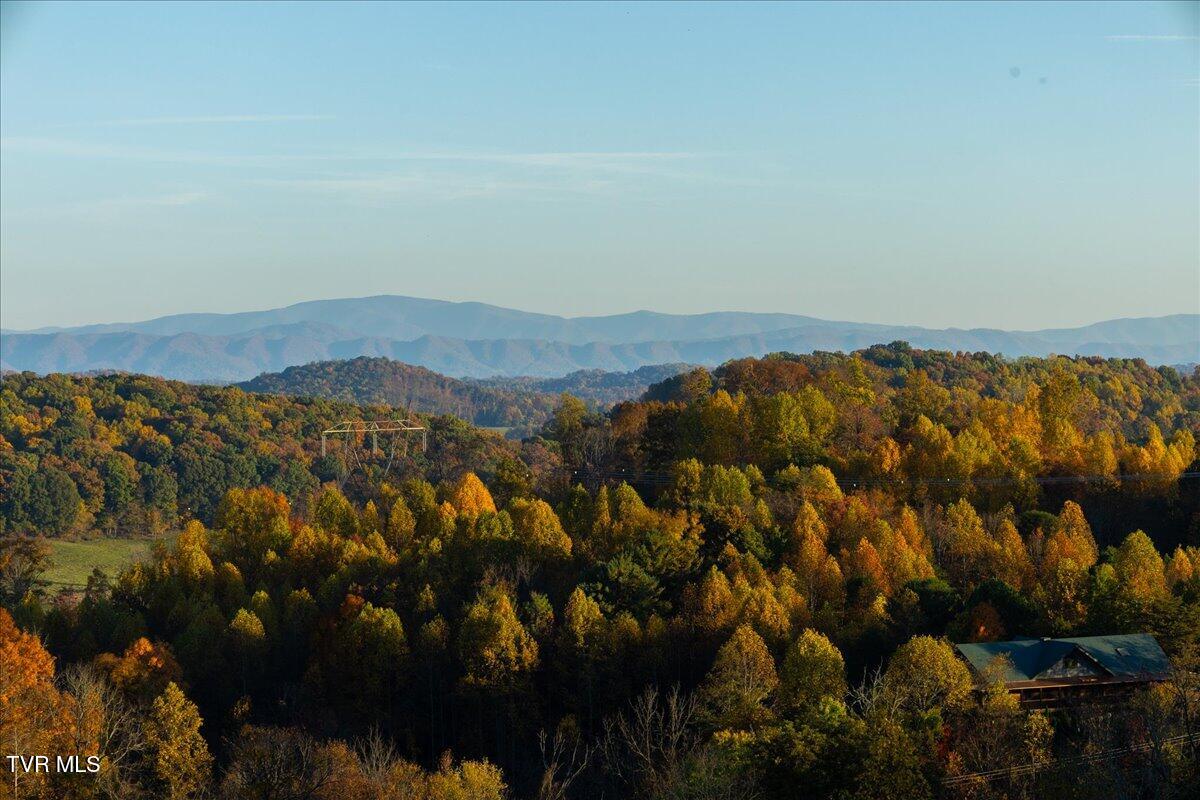 Tbd Harmony Road, Jonesborough, Tennessee image 12