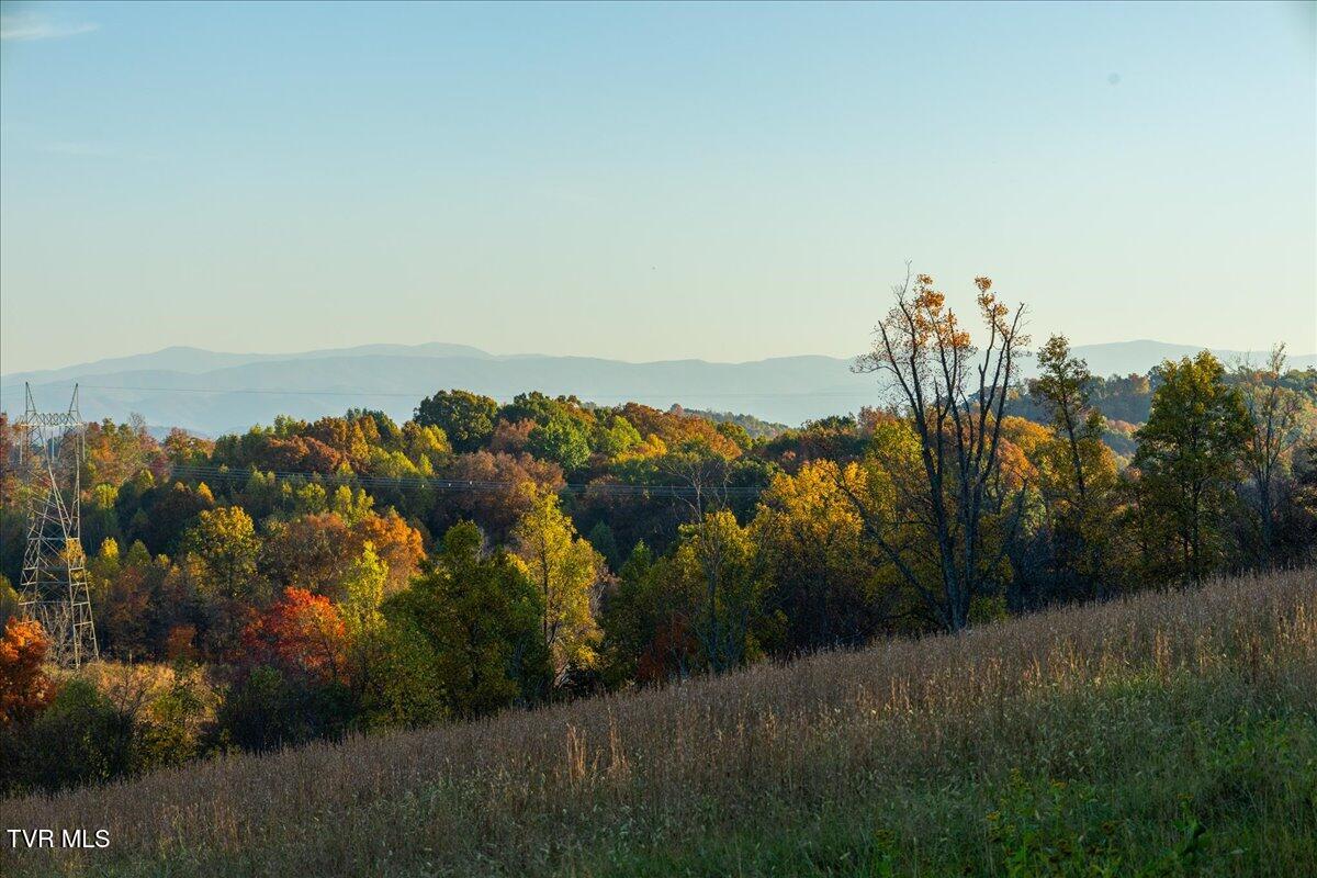 Tbd Harmony Road, Jonesborough, Tennessee image 14