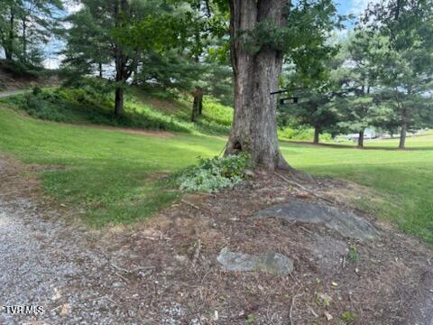 Photo of 19004 Cleveland Road, Abingdon, VA 24211 (MLS # 9996774)