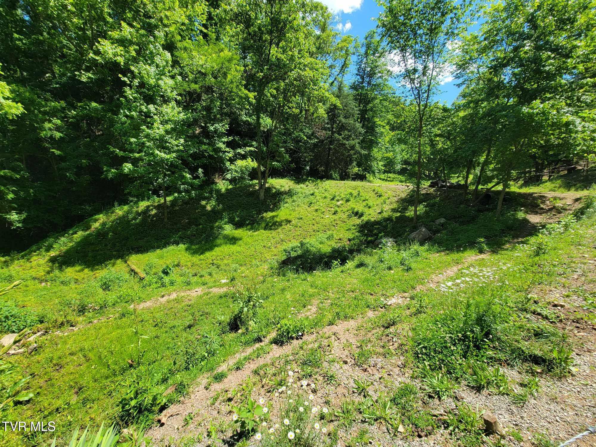 Tract 7 Sandy Valley Road, Rogersville, Tennessee image 1