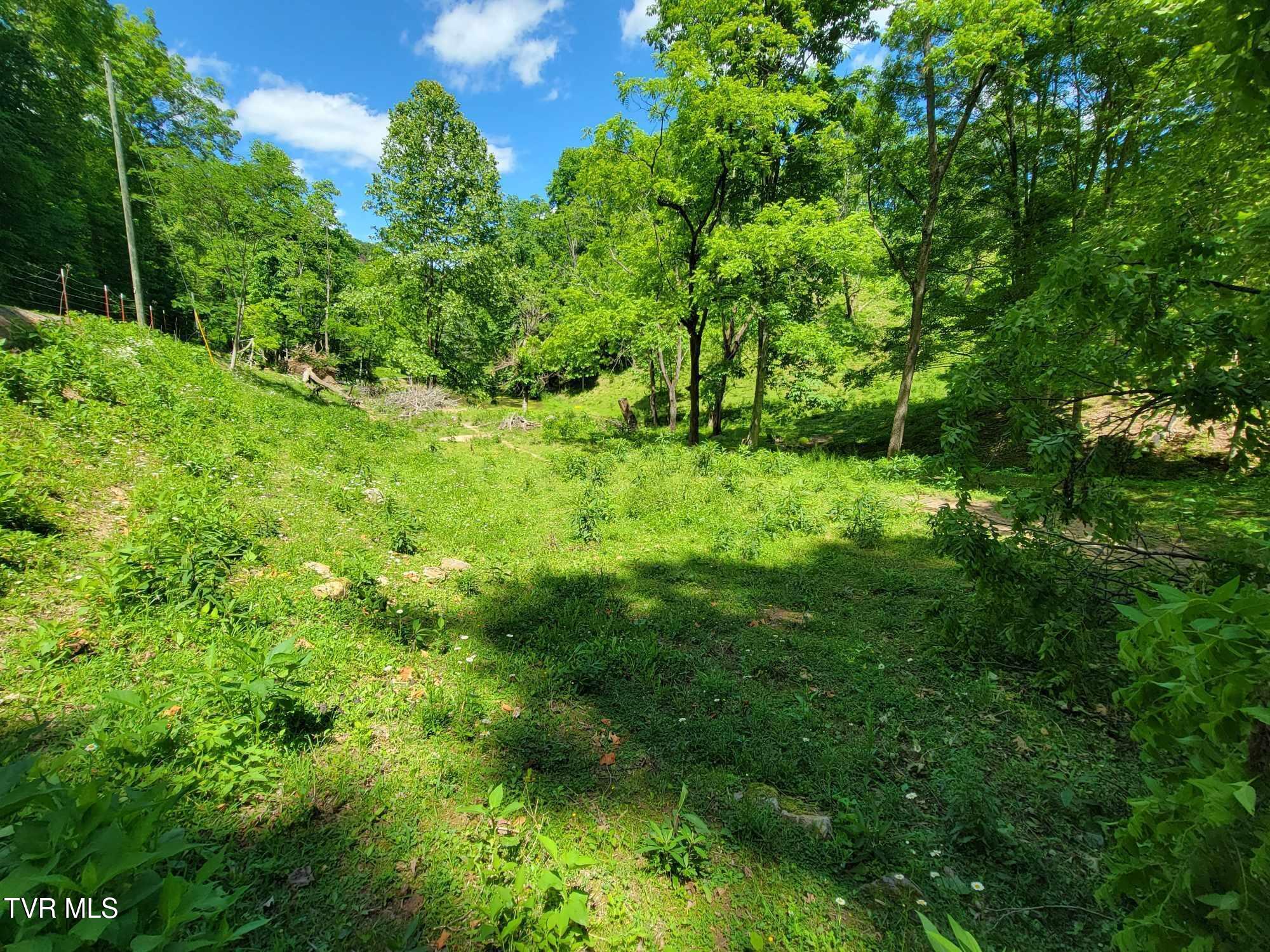 Tract 7 Sandy Valley Road, Rogersville, Tennessee image 6