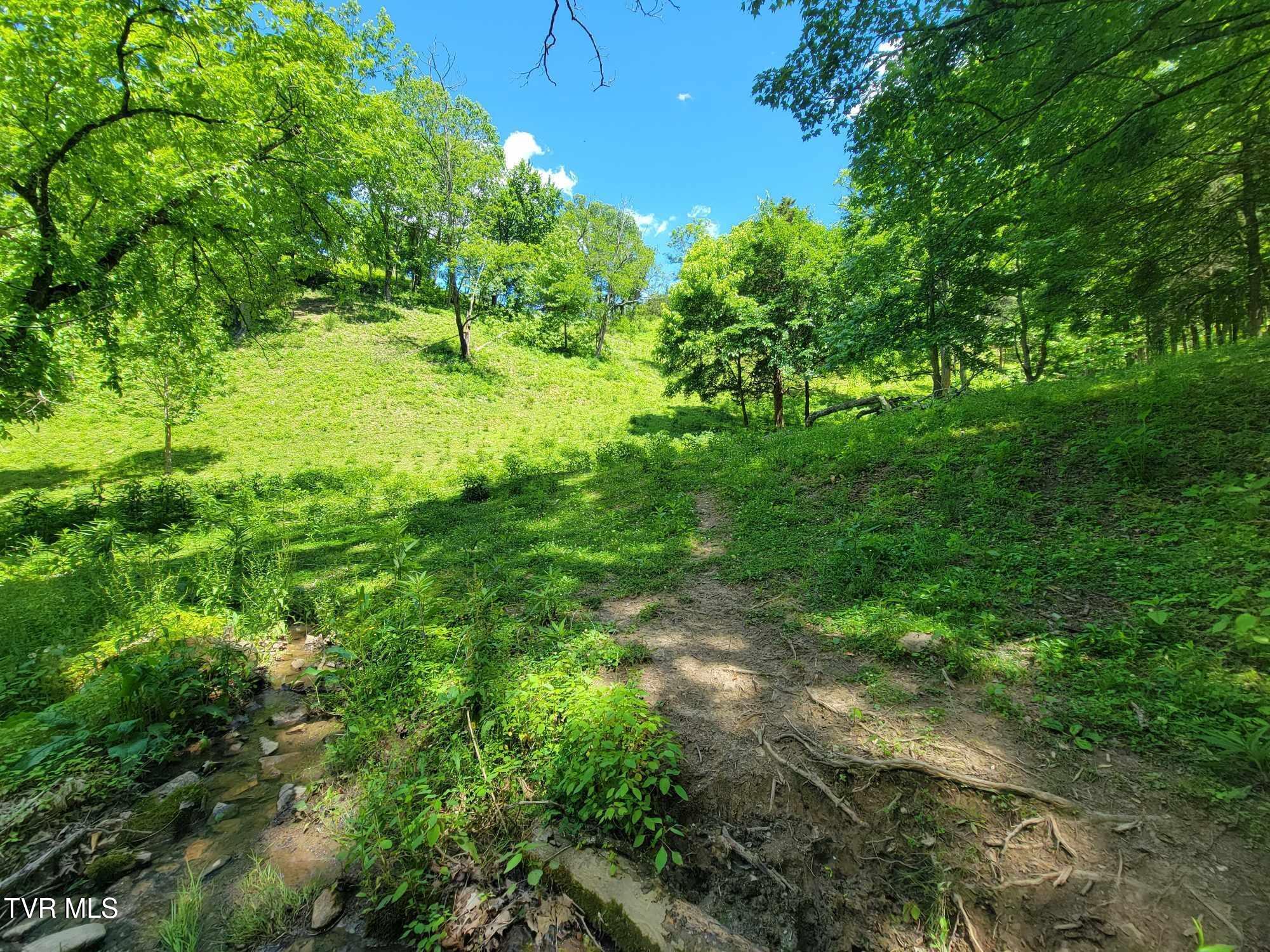 Tract 7 Sandy Valley Road, Rogersville, Tennessee image 7