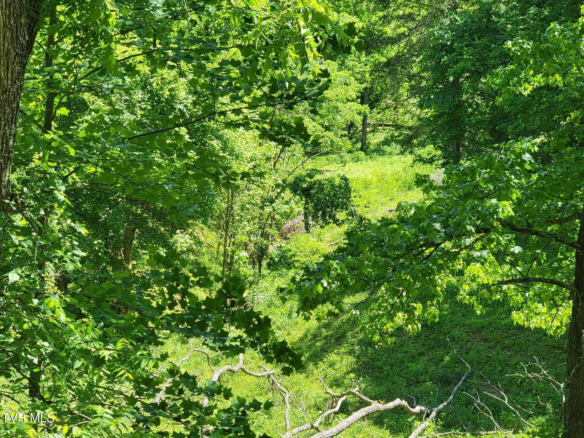 Tract 7 Sandy Valley Road, Rogersville, Tennessee image 5