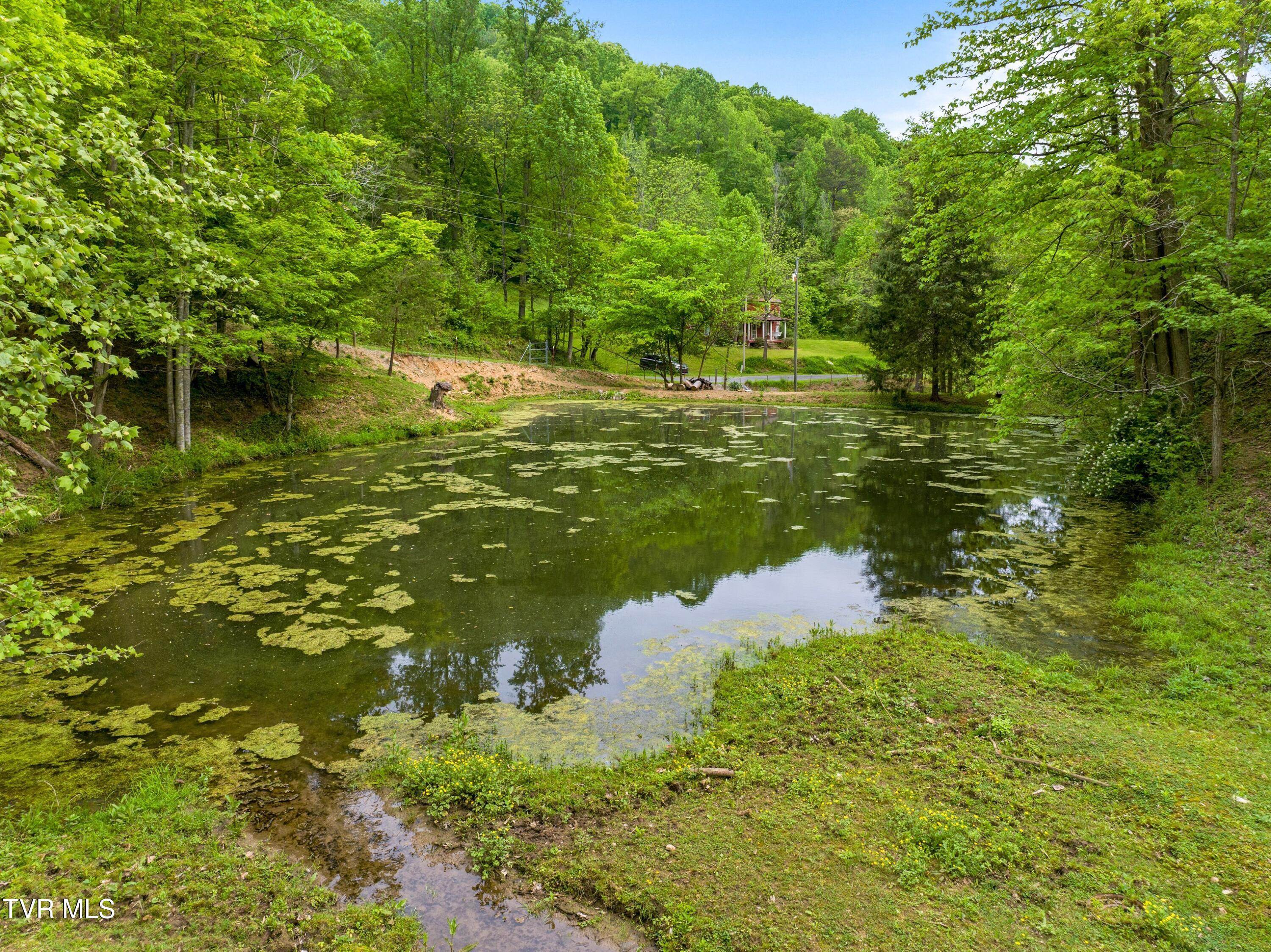 Tract 7 Sandy Valley Road, Rogersville, Tennessee image 13