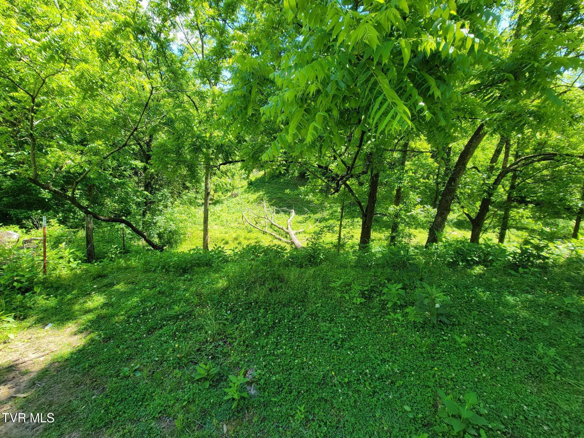 Tract 7 Sandy Valley Road, Rogersville, Tennessee image 4