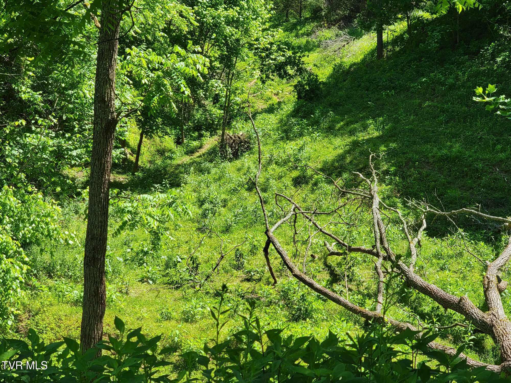 Tract 7 Sandy Valley Road, Rogersville, Tennessee image 3