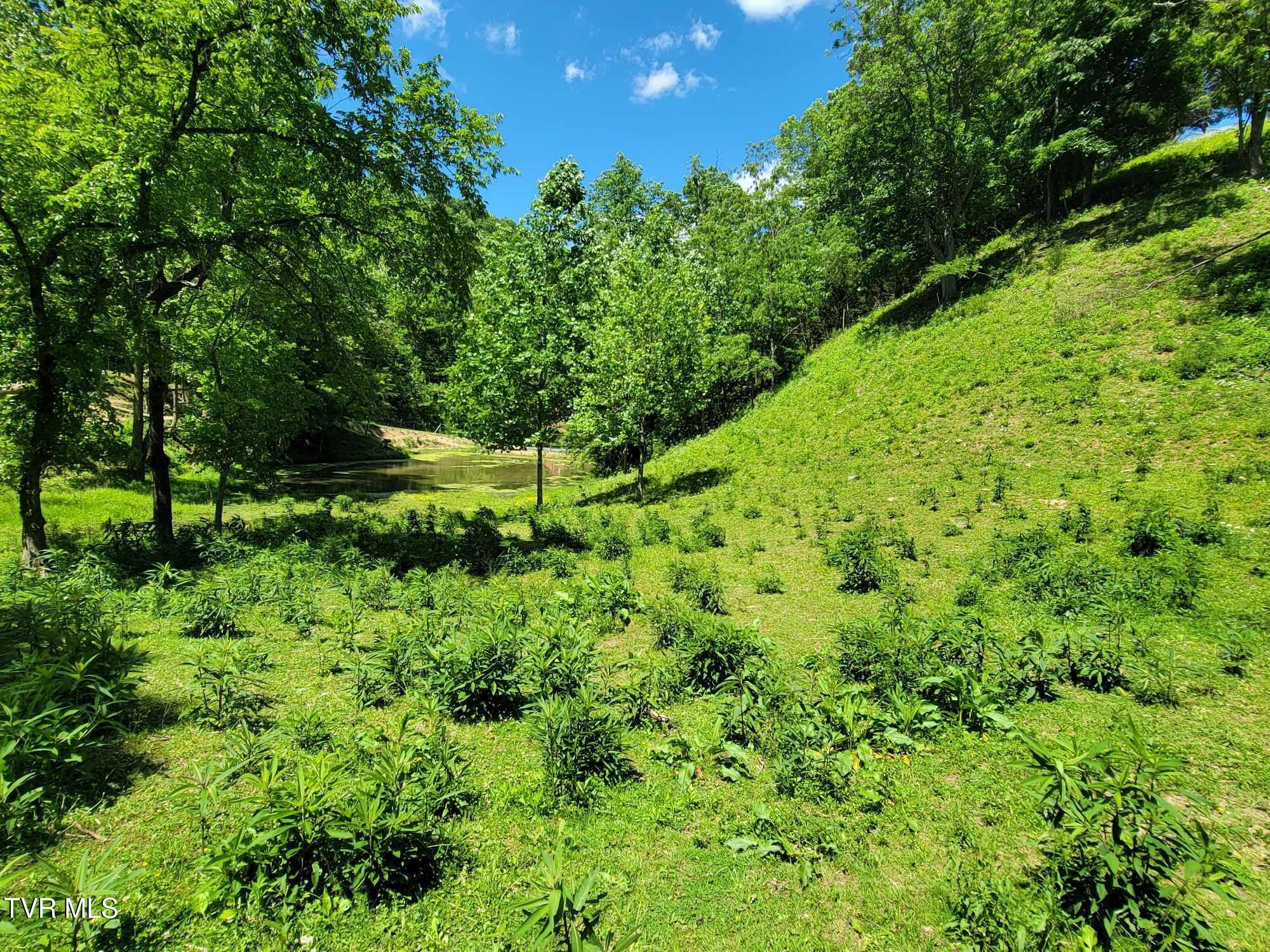 Tract 7 Sandy Valley Road, Rogersville, Tennessee image 8