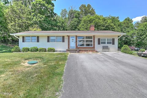 Photo of 246 Florence Drive, Blountville, TN 37617 (MLS # 9995629)