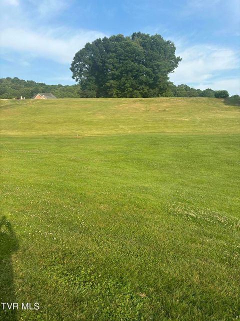 Vacant Land For Sale - TBD Acorn Lane #LOT 17<br/> Bristol, VA 24202