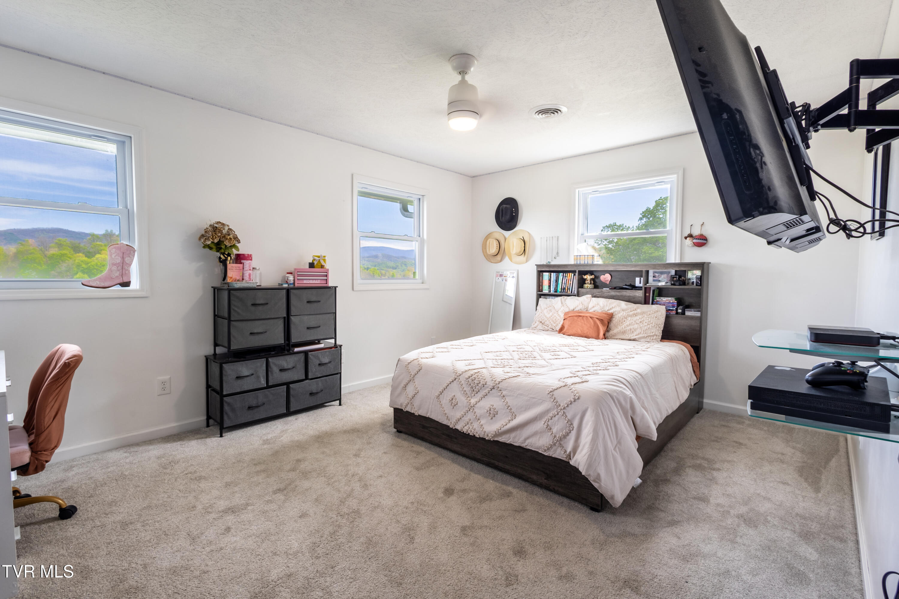 156 Bill Garland Road, Johnson City, Tennessee image 10