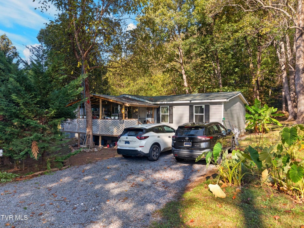 Photo of 4221 Lindsey Gap Road, Cosby, TN 37722 (MLS # 10002328)