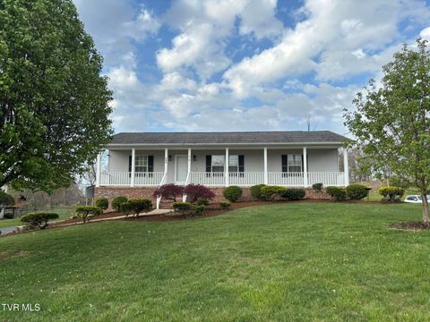 Photo of 285 Brian Circle, Afton, TN 37616 (MLS # 9993189)