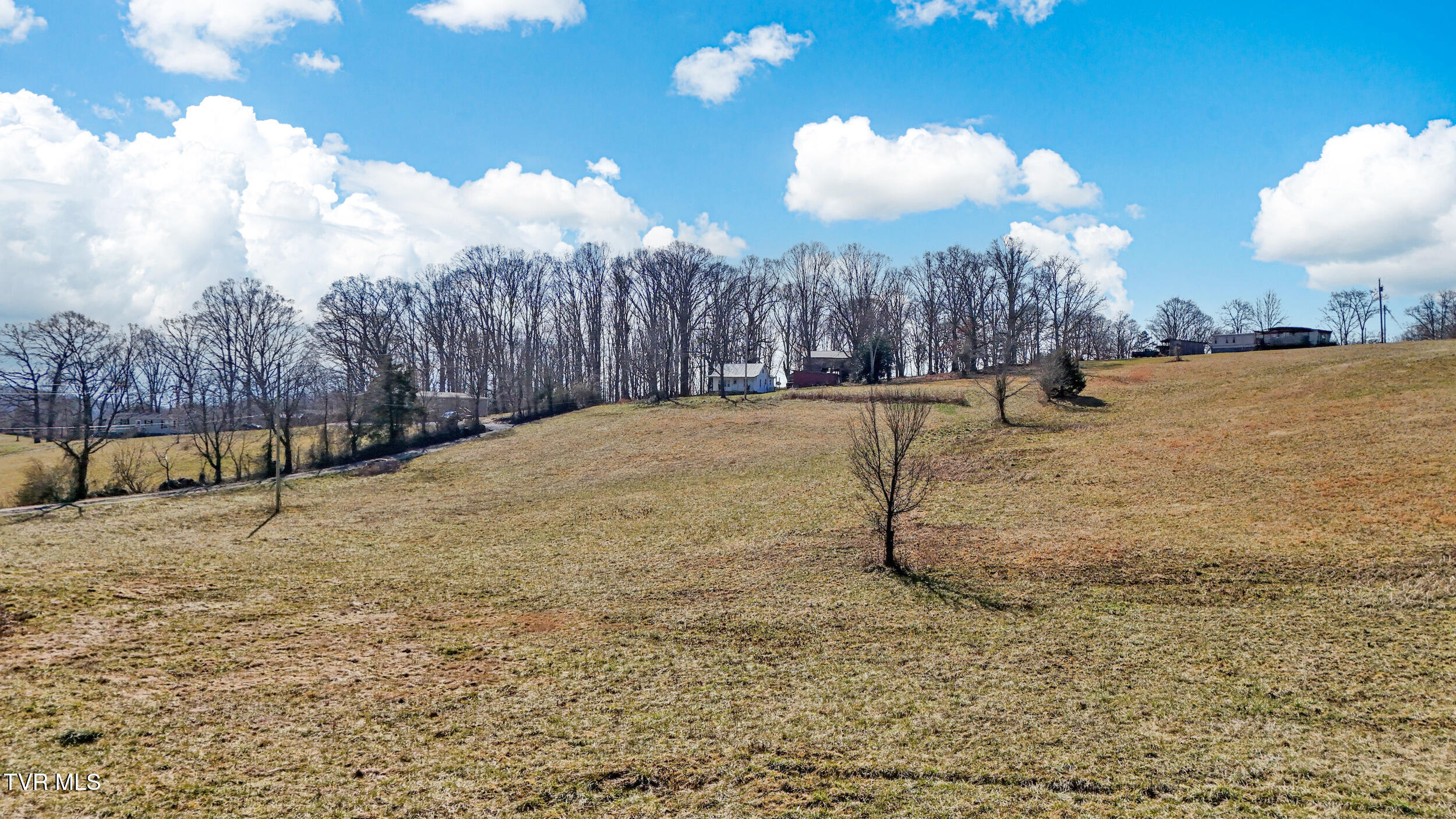110 Morrison Way, Limestone, Tennessee image 5