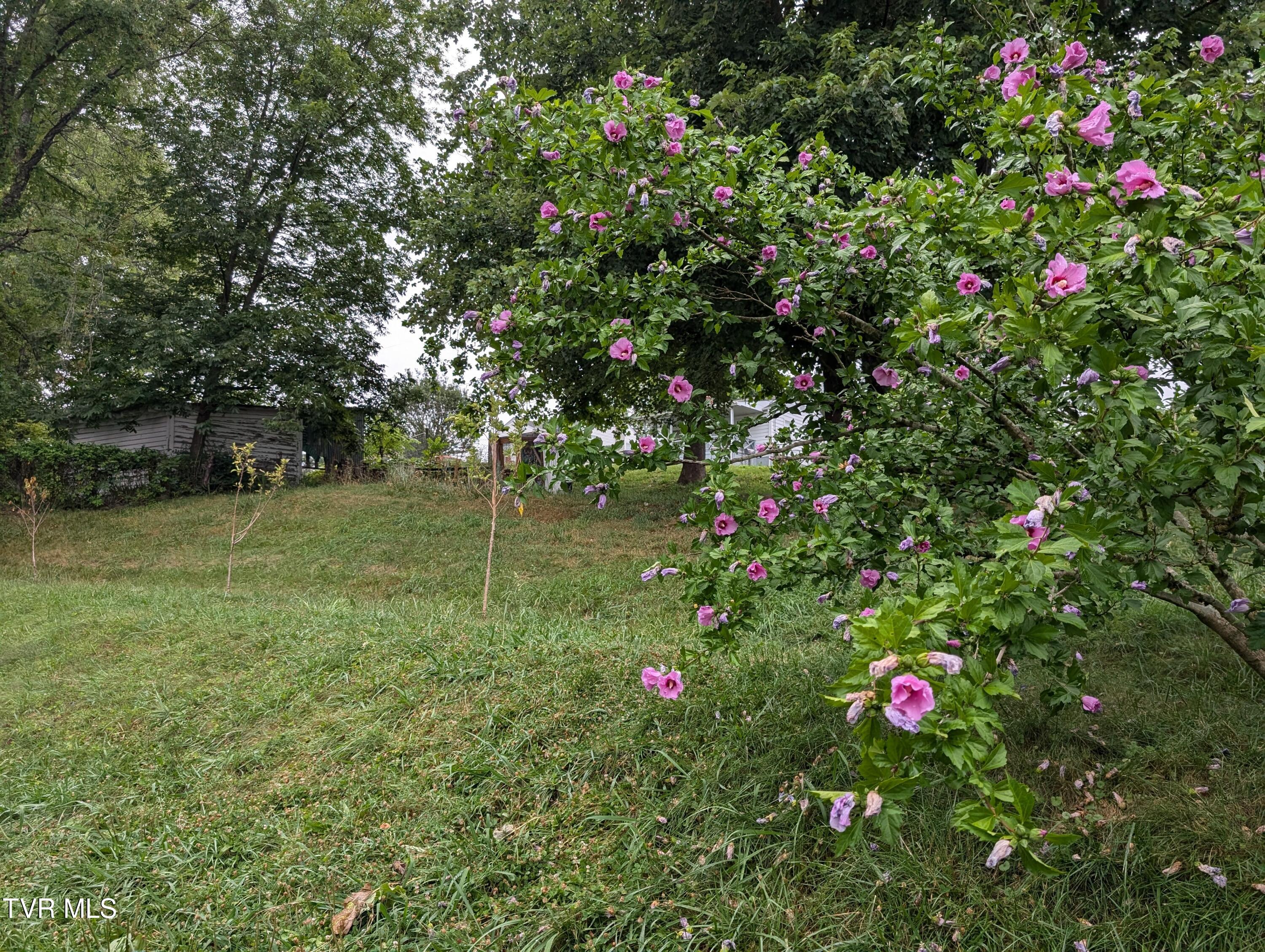 Bristol, Virginia 24201, United States, 2 Bedrooms Bedrooms, ,1 BathroomBathrooms,Residential,Pending,53494