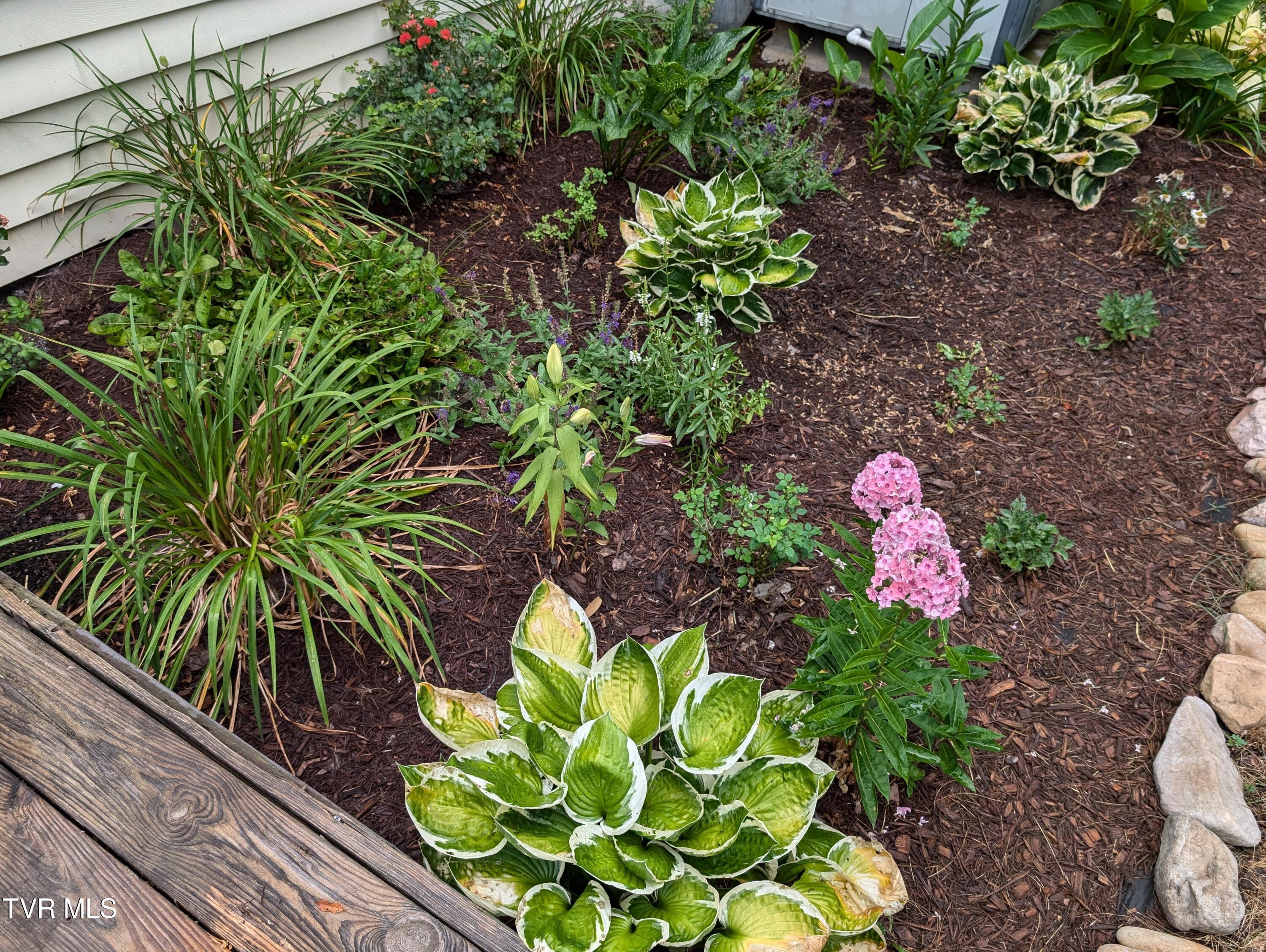 Bristol, Virginia 24201, United States, 2 Bedrooms Bedrooms, ,1 BathroomBathrooms,Residential,Pending,53494