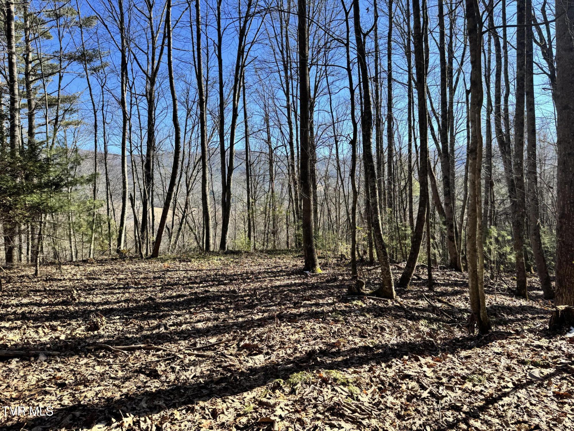 Big Dry Run Road, Mountain City, Tennessee image 1