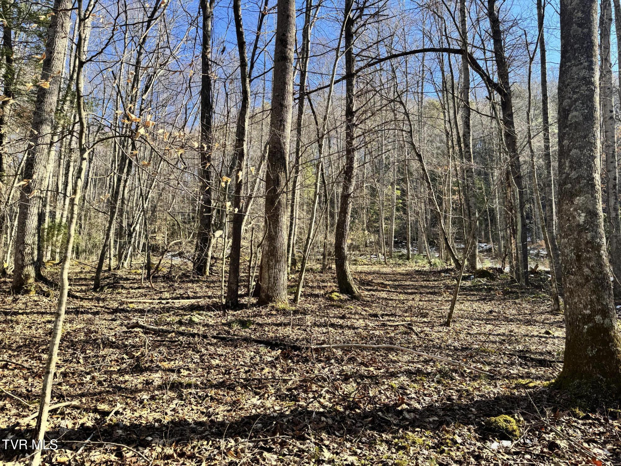 Big Dry Run Road, Mountain City, Tennessee image 7