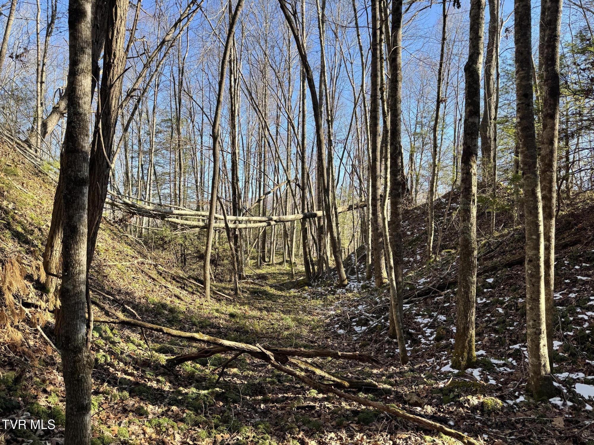Big Dry Run Road, Mountain City, Tennessee image 42