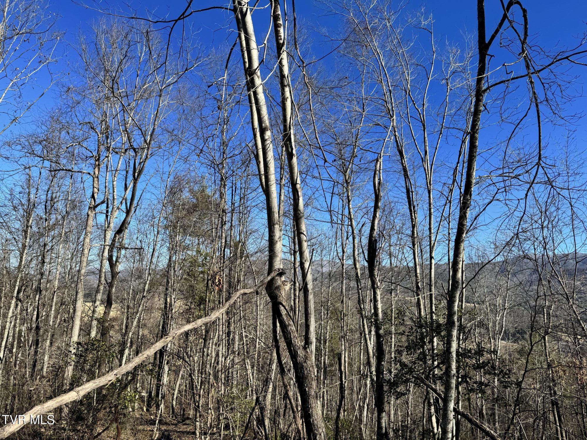 Big Dry Run Road, Mountain City, Tennessee image 31