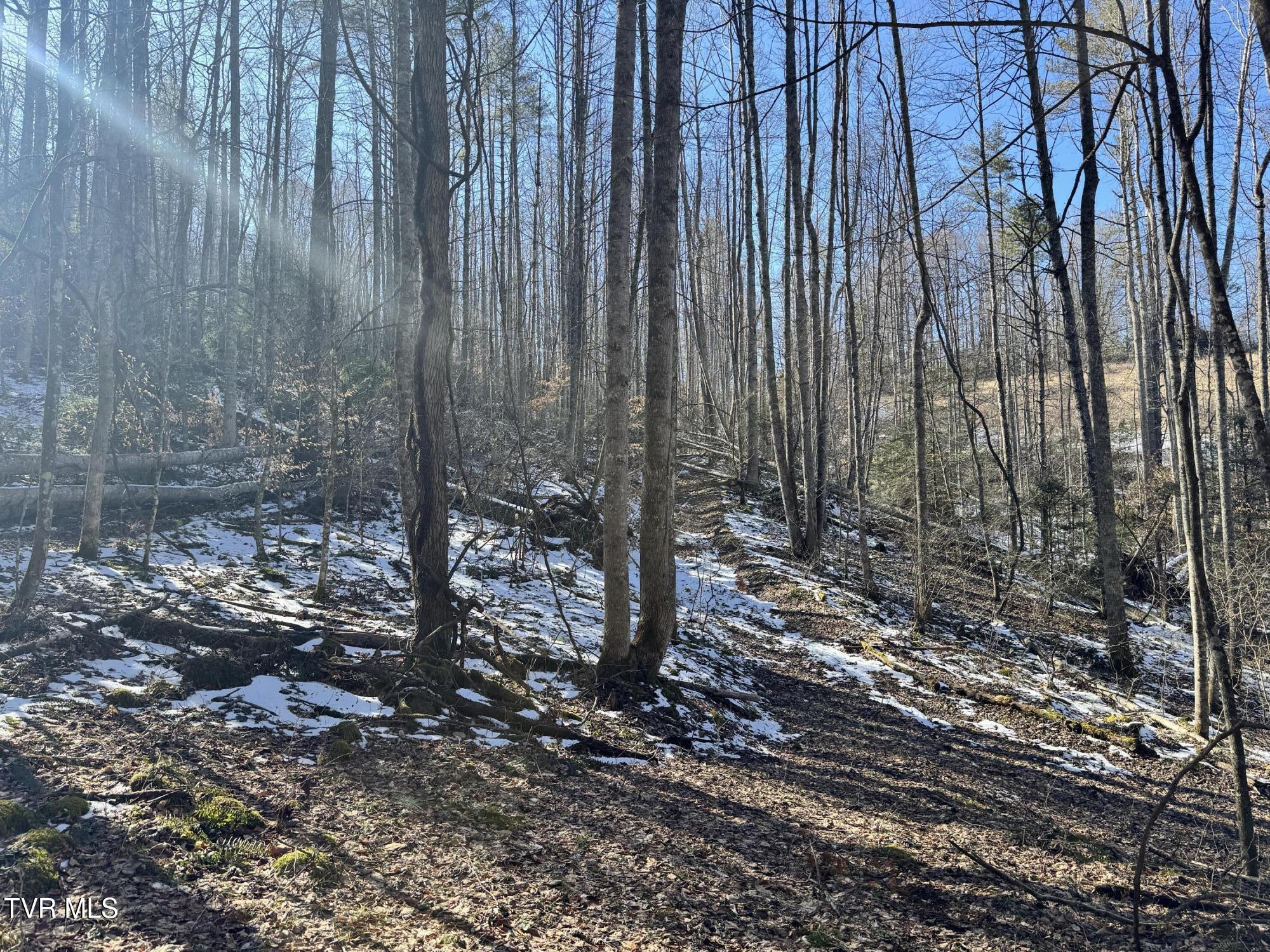 Big Dry Run Road, Mountain City, Tennessee image 24