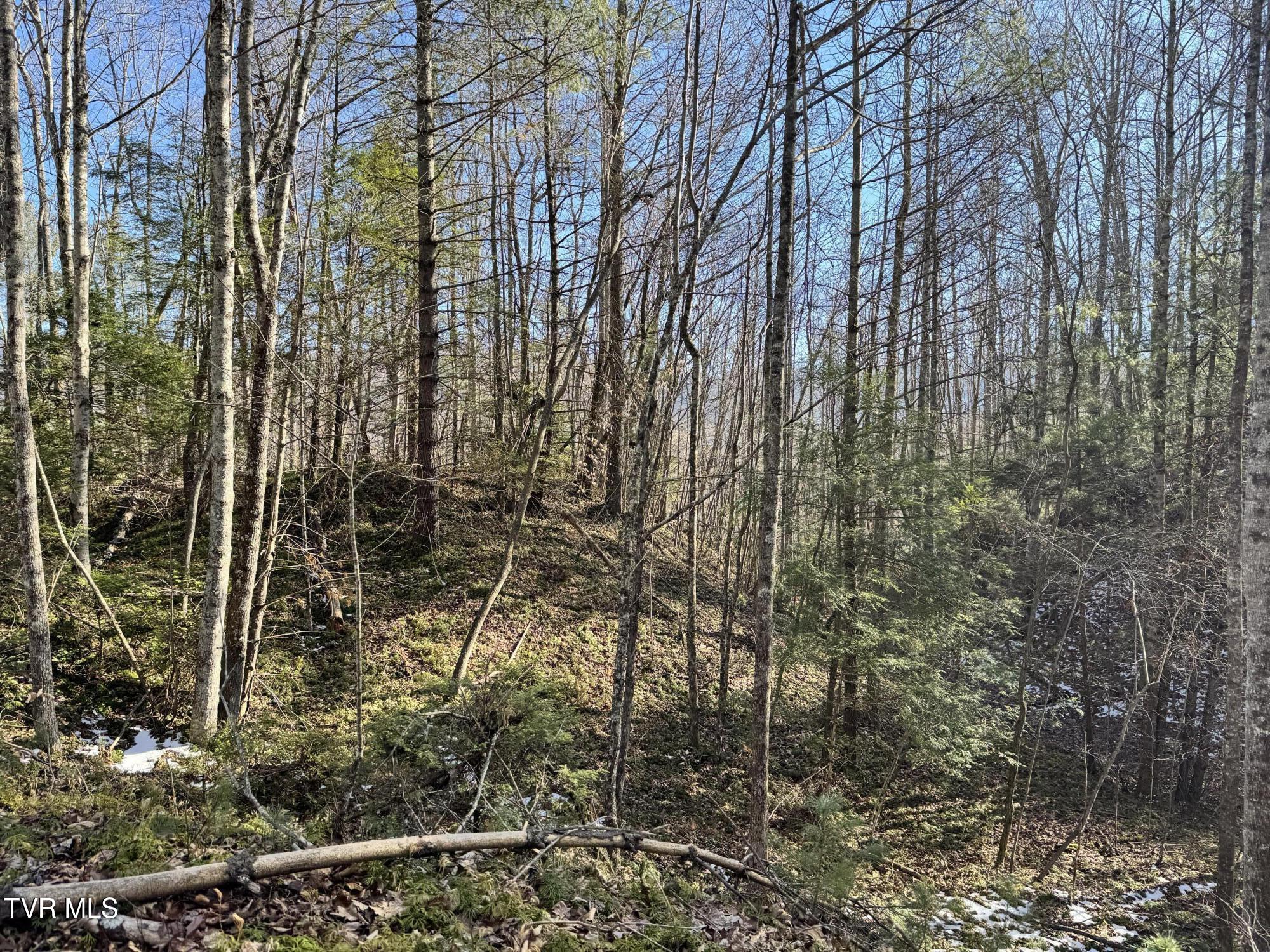 Big Dry Run Road, Mountain City, Tennessee image 46