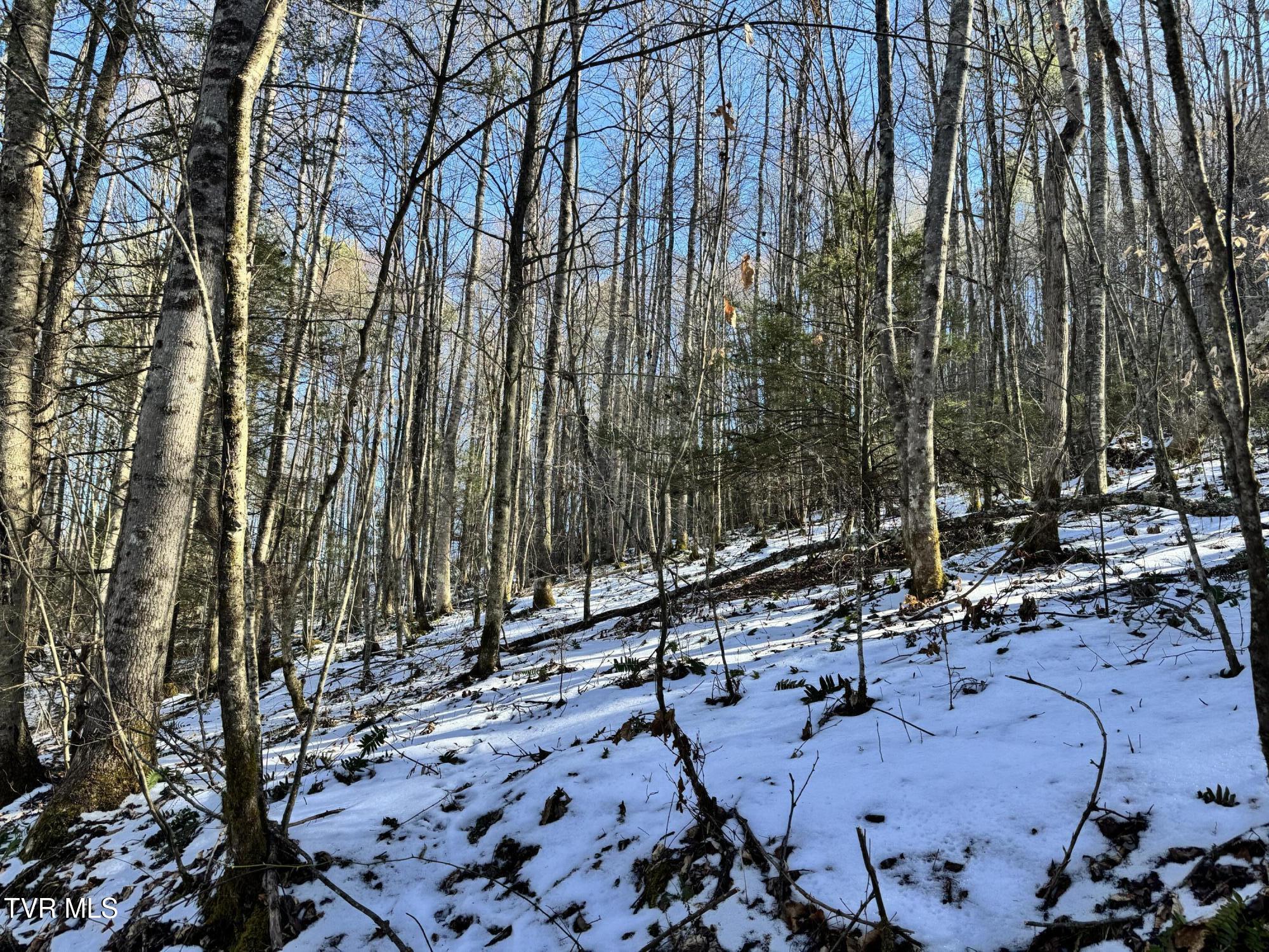 Big Dry Run Road, Mountain City, Tennessee image 18