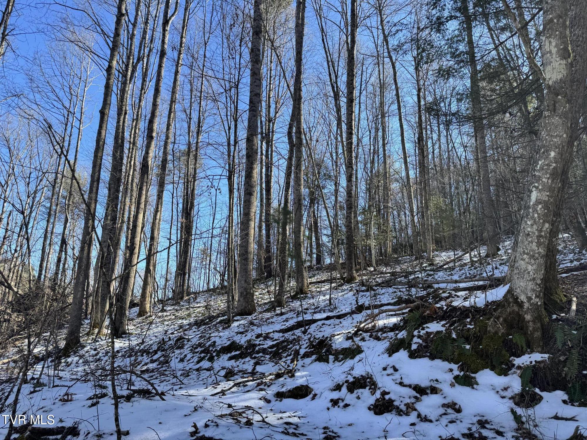Big Dry Run Road, Mountain City, Tennessee image 15