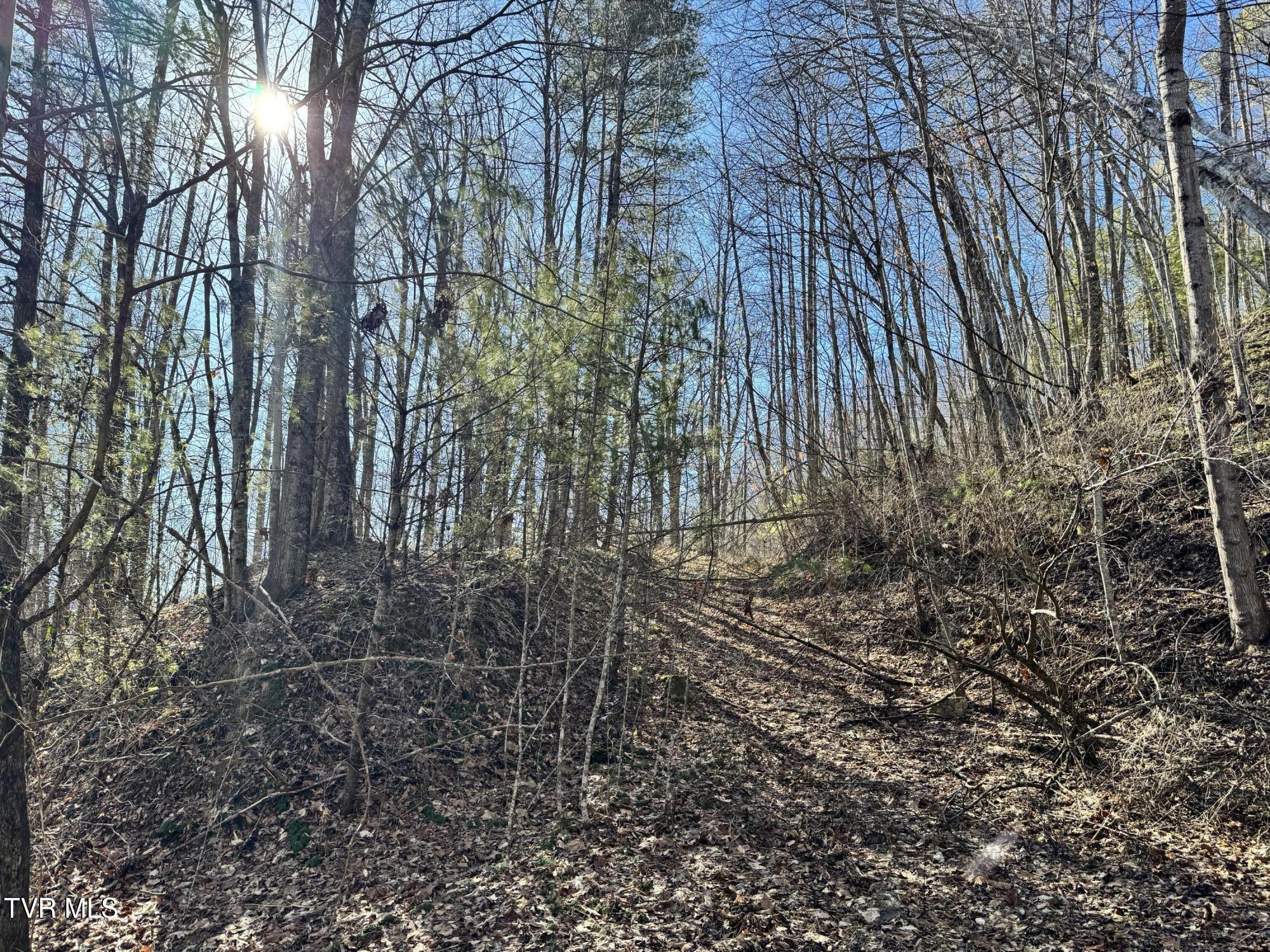 Big Dry Run Road, Mountain City, Tennessee image 38