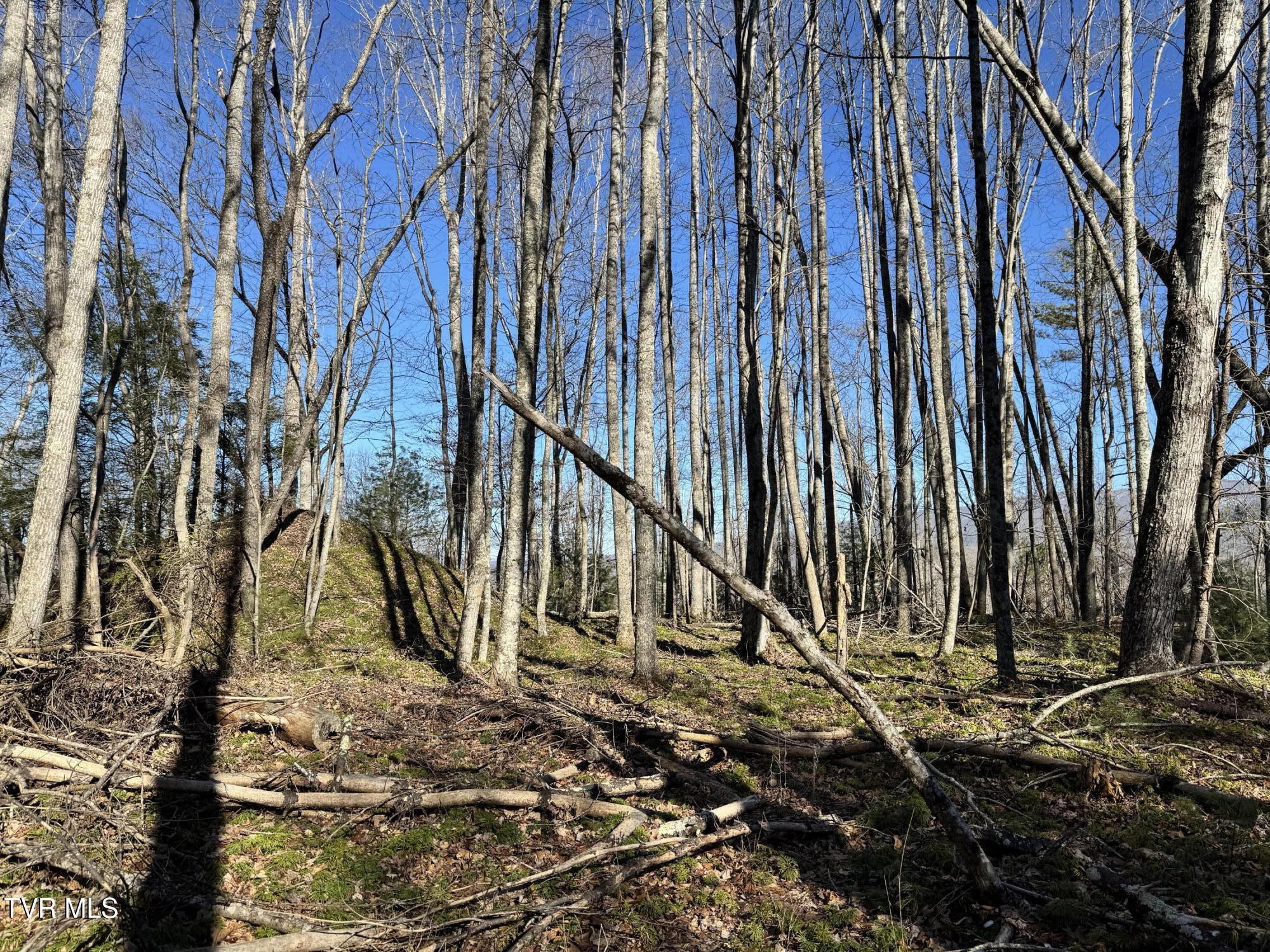 Big Dry Run Road, Mountain City, Tennessee image 44