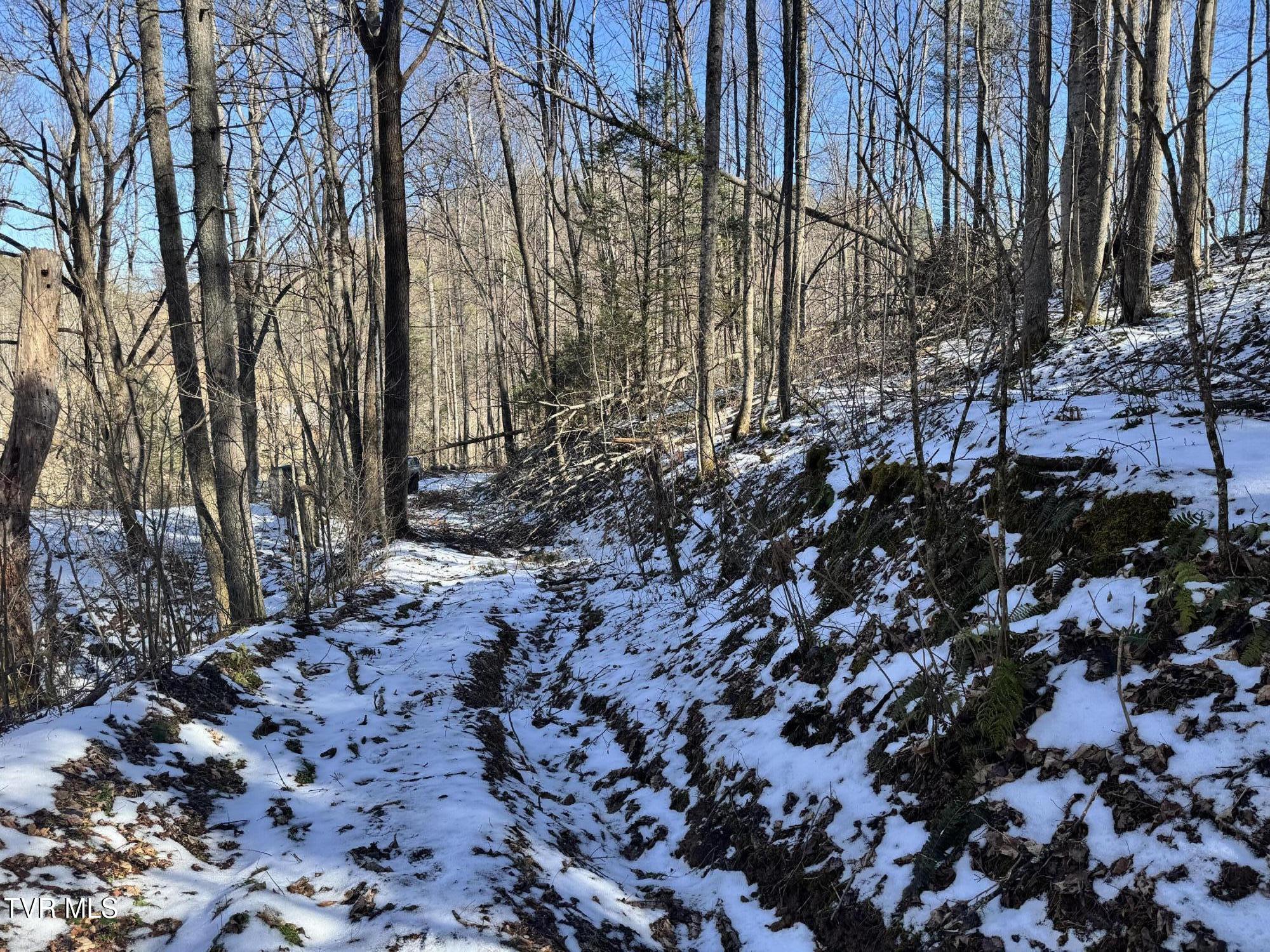 Big Dry Run Road, Mountain City, Tennessee image 16