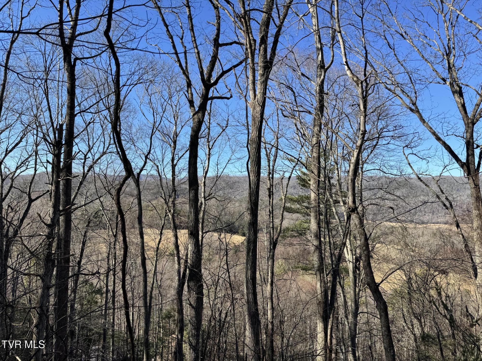 Big Dry Run Road, Mountain City, Tennessee image 4