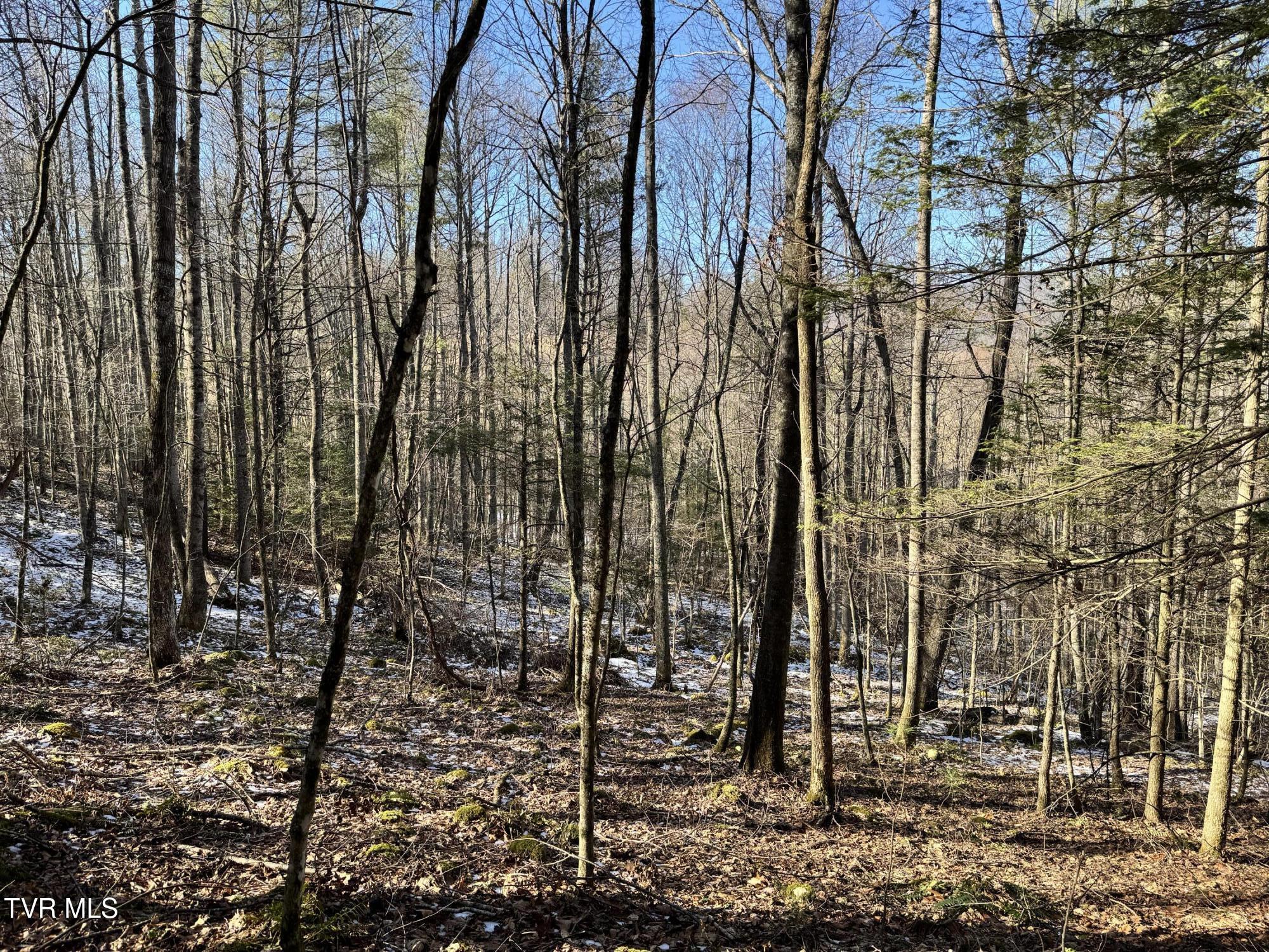 Big Dry Run Road, Mountain City, Tennessee image 47