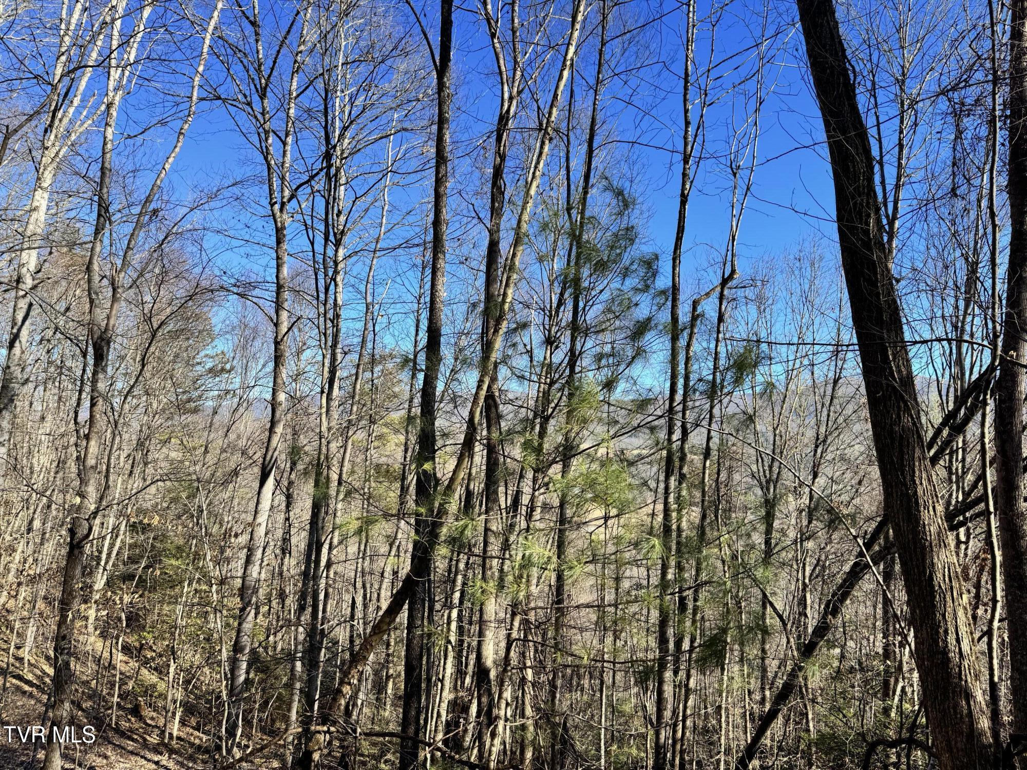 Big Dry Run Road, Mountain City, Tennessee image 40