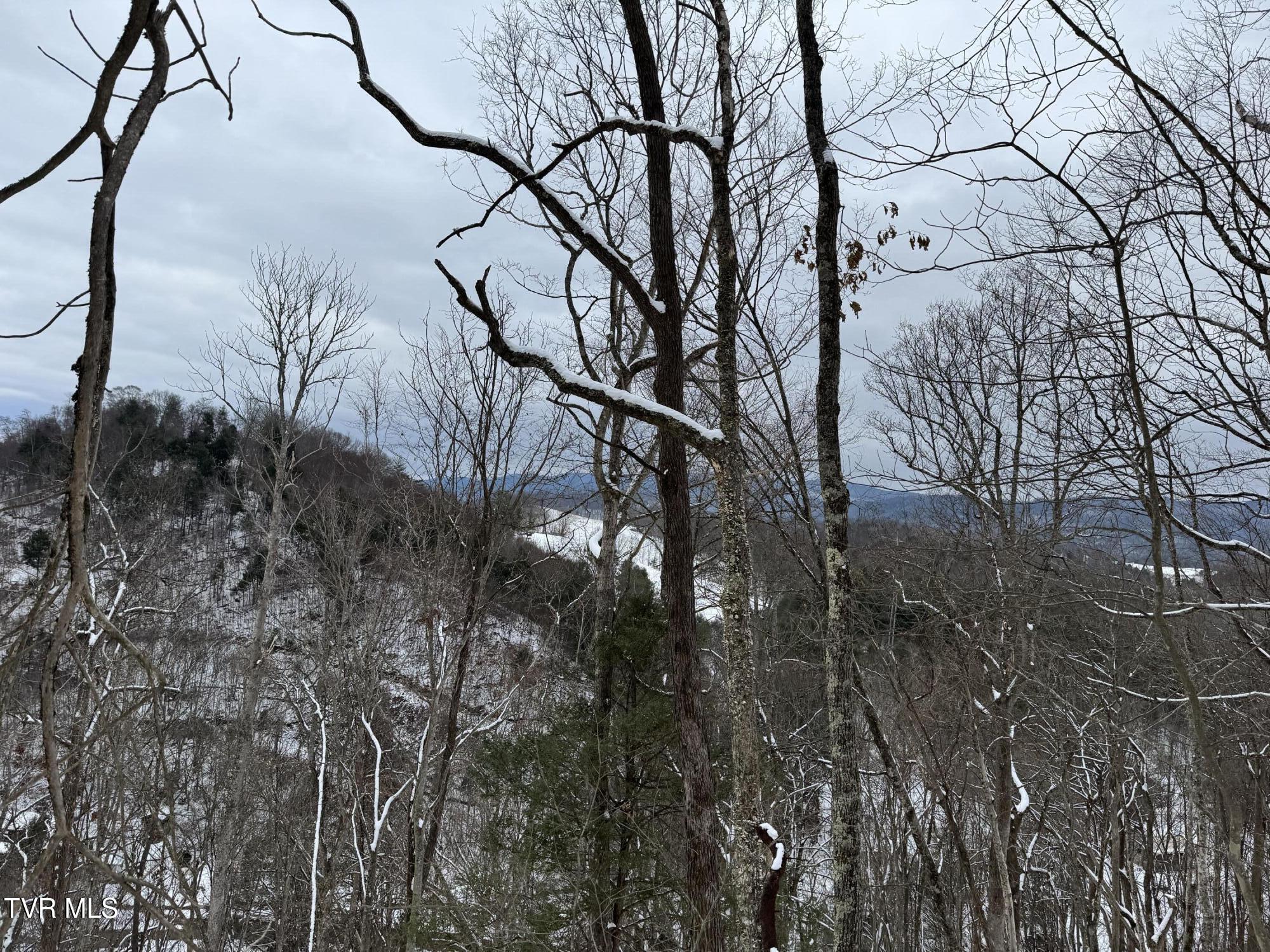 Big Dry Run Road, Mountain City, Tennessee image 35