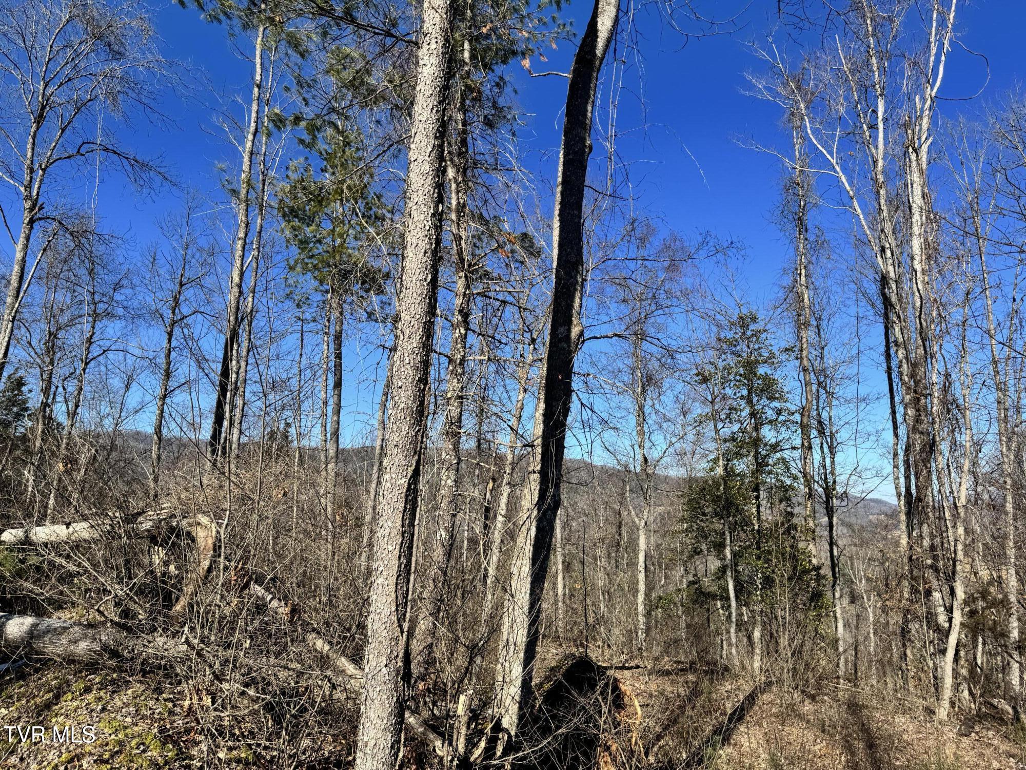 Big Dry Run Road, Mountain City, Tennessee image 13