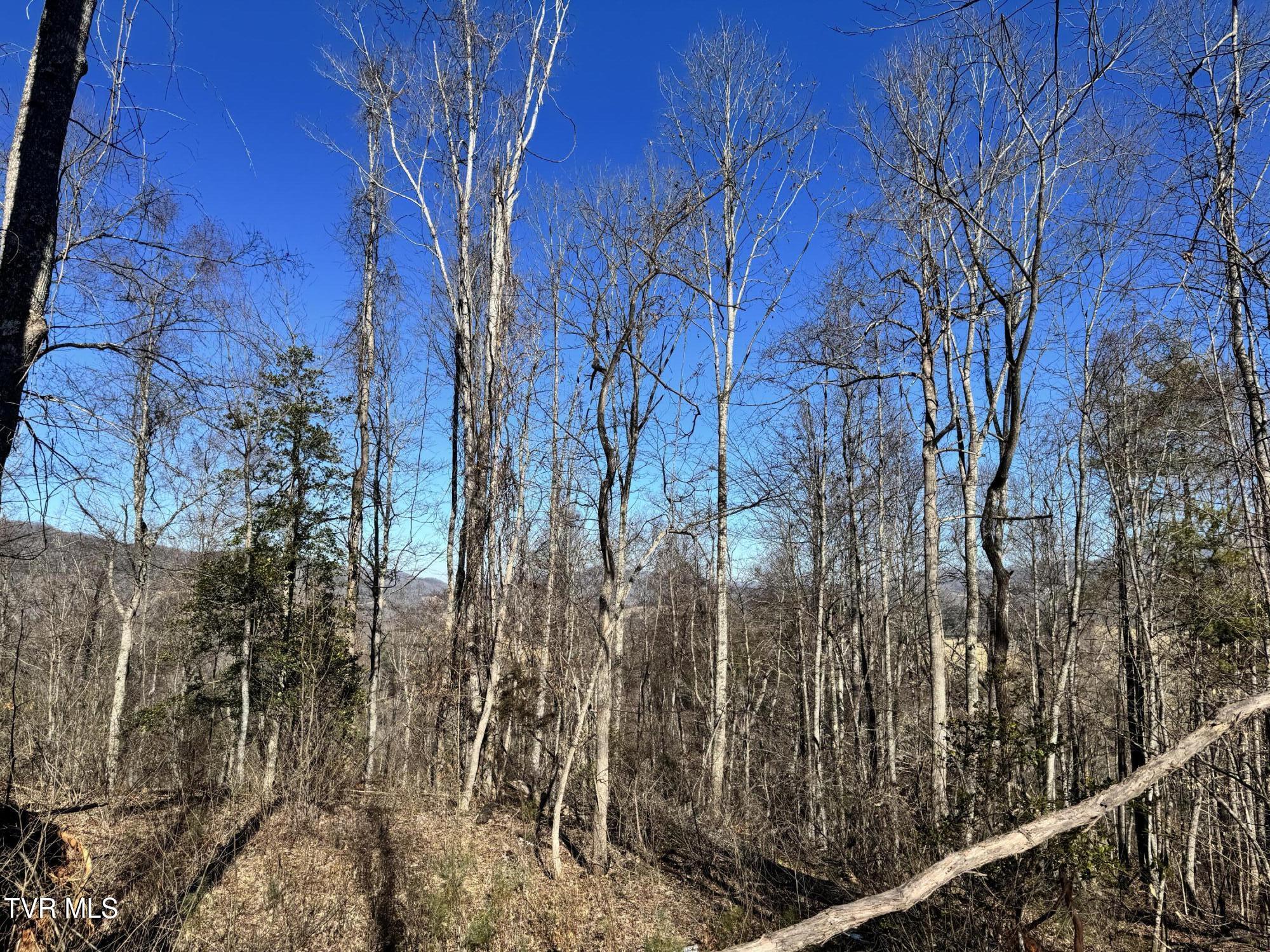 Big Dry Run Road, Mountain City, Tennessee image 12