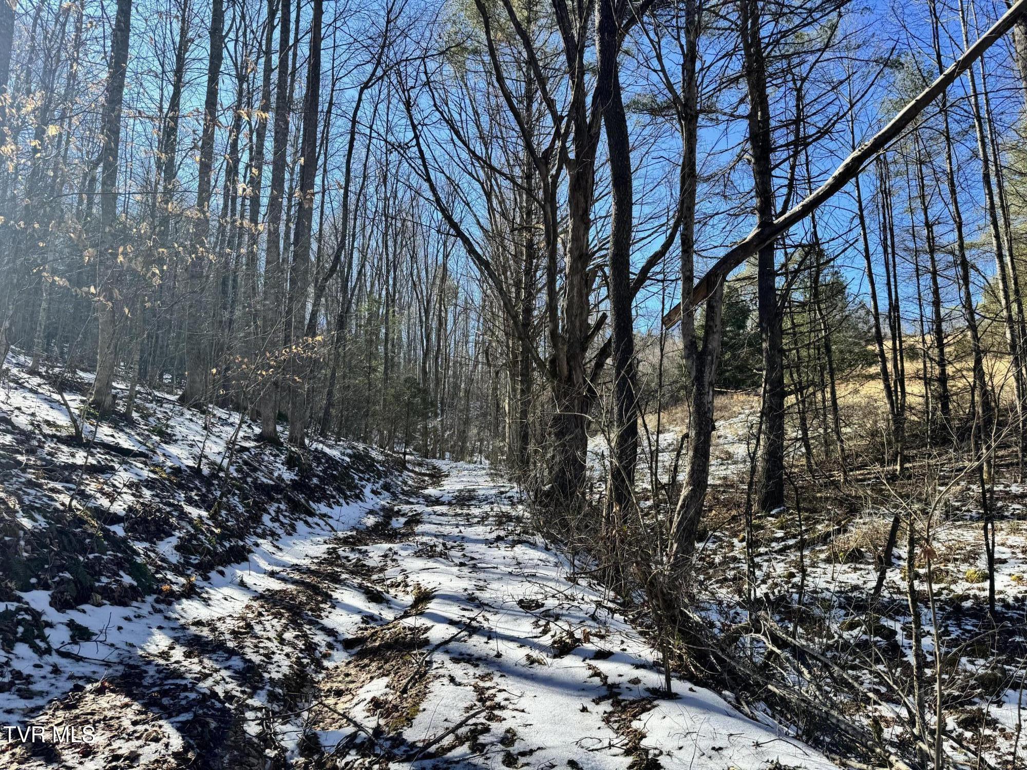 Big Dry Run Road, Mountain City, Tennessee image 17