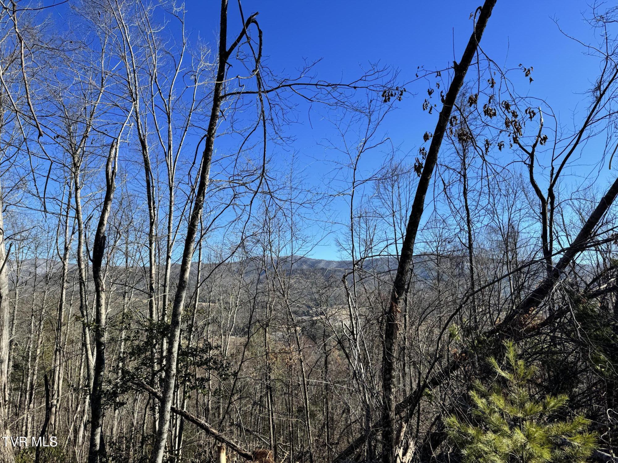 Big Dry Run Road, Mountain City, Tennessee image 2