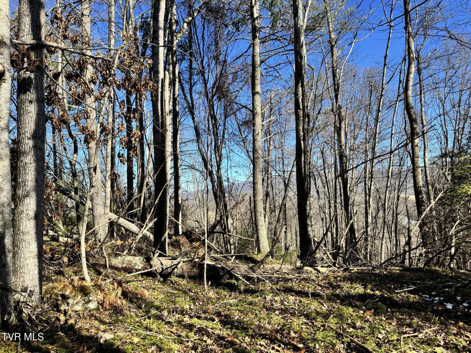 Big Dry Run Road, Mountain City, Tennessee image 33